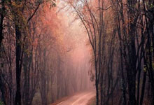 切尔西新帅马雷斯卡：蓝军不在英超争冠行列.