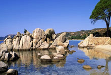 吉鲁成为法国最年长进球者 距离亨利纪录只差2球.